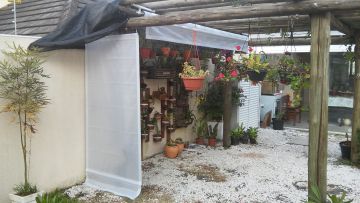 Toldo para carro